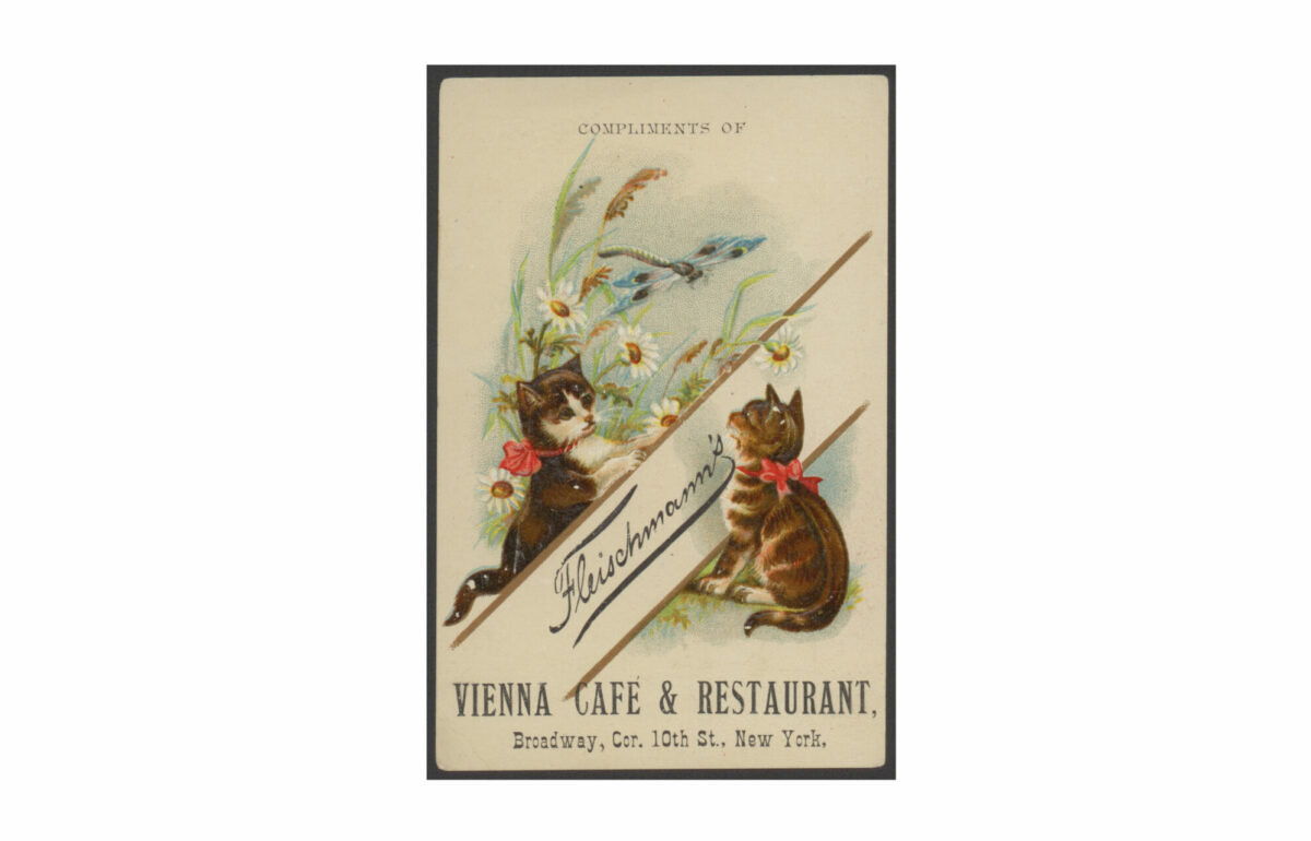 Die Sammlung umfasst auch historische Postkarten und Flyer, wie diesen vom Café & Restaurant Fleischmann’s in New York. © LHW / ÖEB