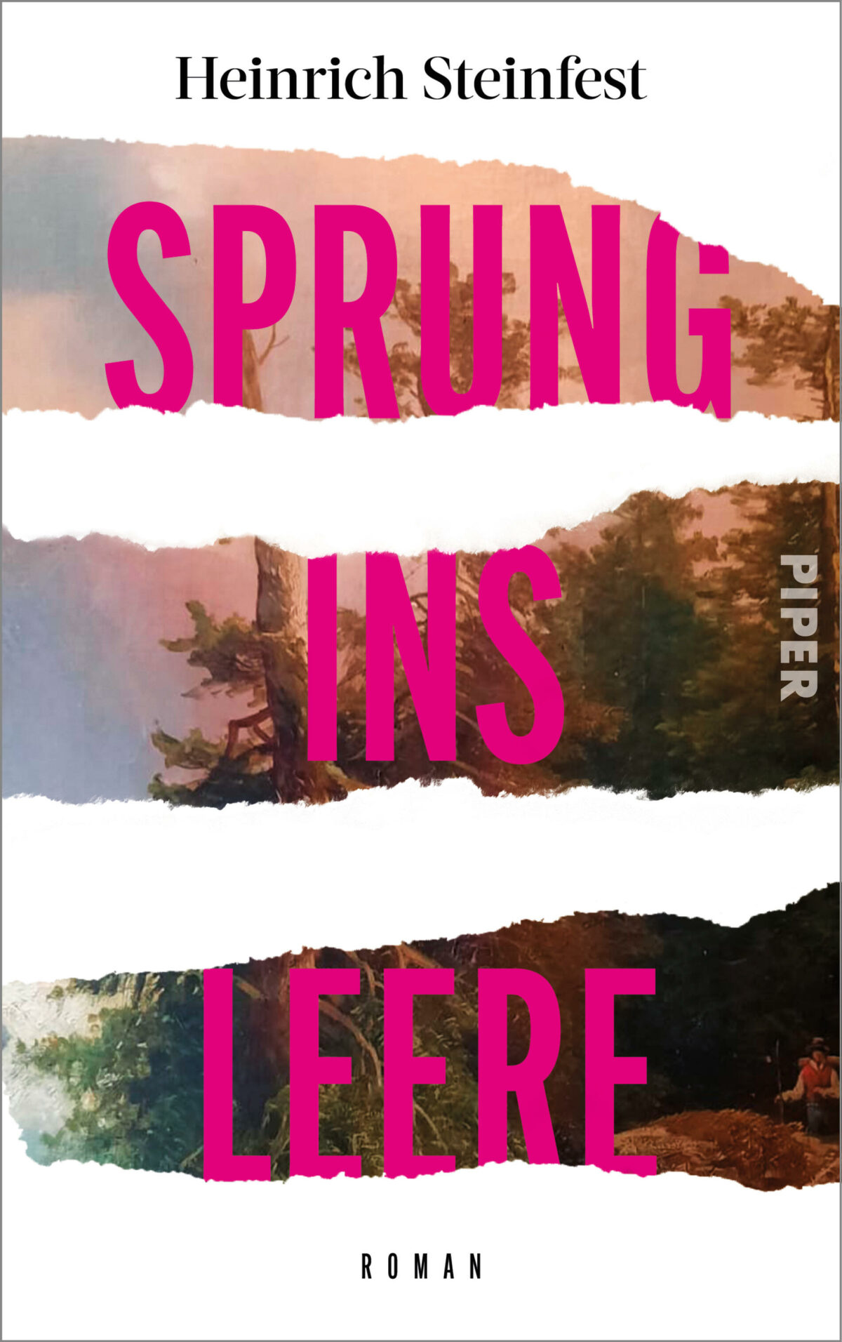 Cover Heinrich Steinfest Sprung ins Leere © Piper 2024