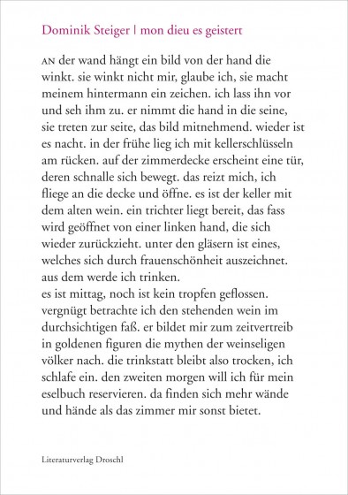 Cover Dominik Steiger mon dieu es geistert, © Literaturverlag Droschl