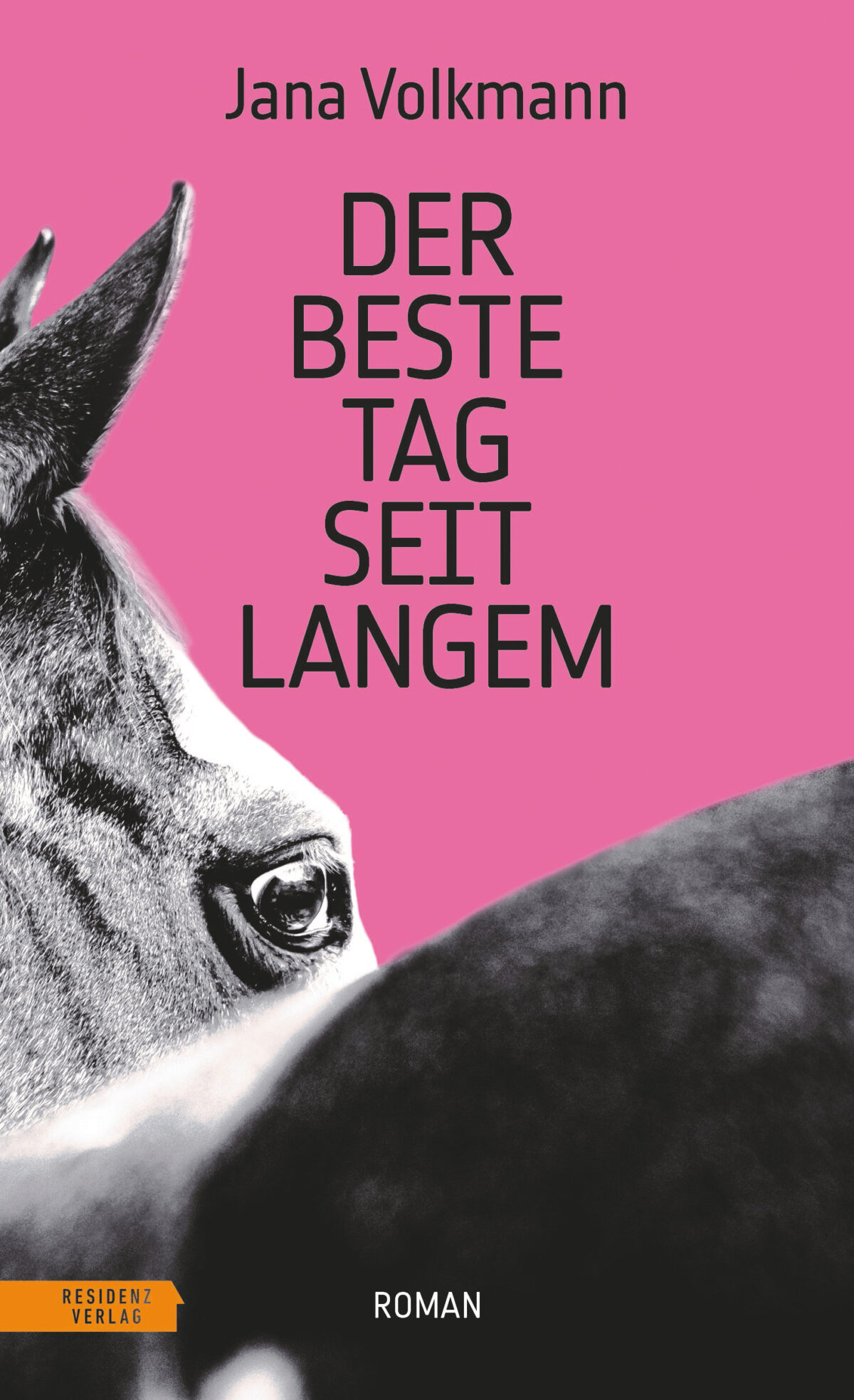 Cover Jana Volkmann Der beste Tag seit langem © Residenz Verlag 2024