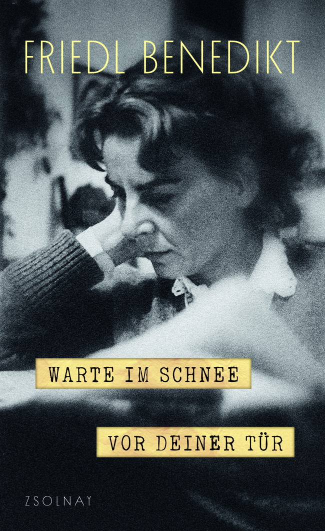 Cover Friedl Benedikt Warte im Schnee vor deiner Tür © Zsolnay Verlag 2025